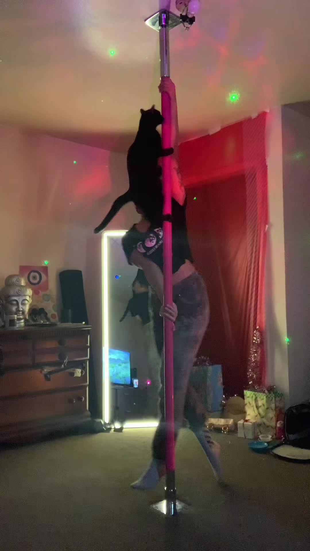 alycatt1111 - Video 12