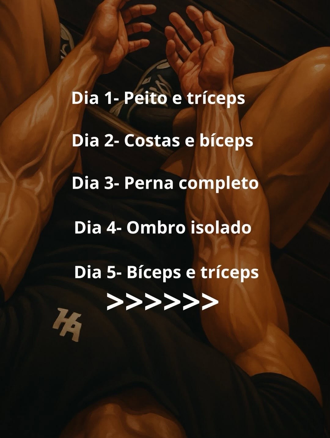 Geral - Video 658