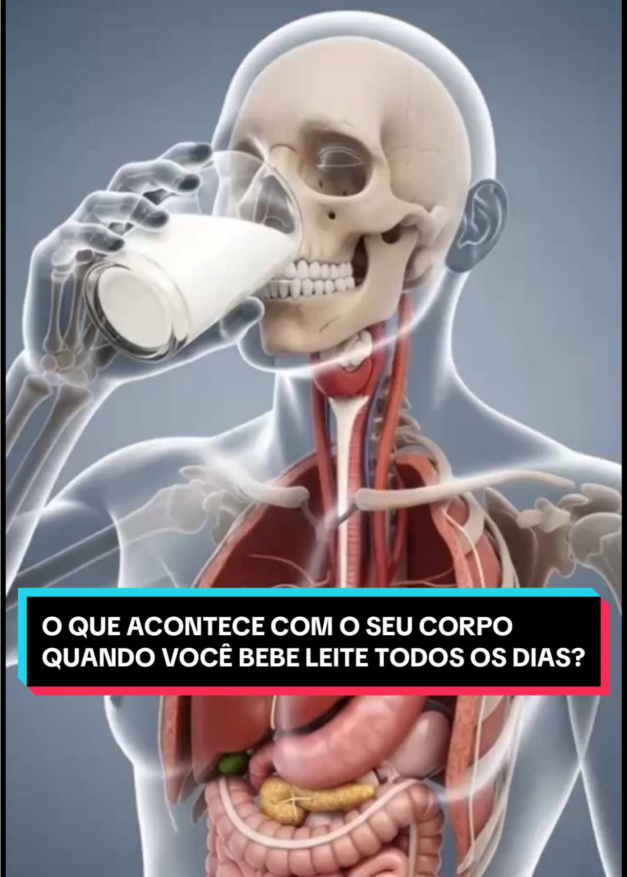 seucorpoemsegundos - Video 10