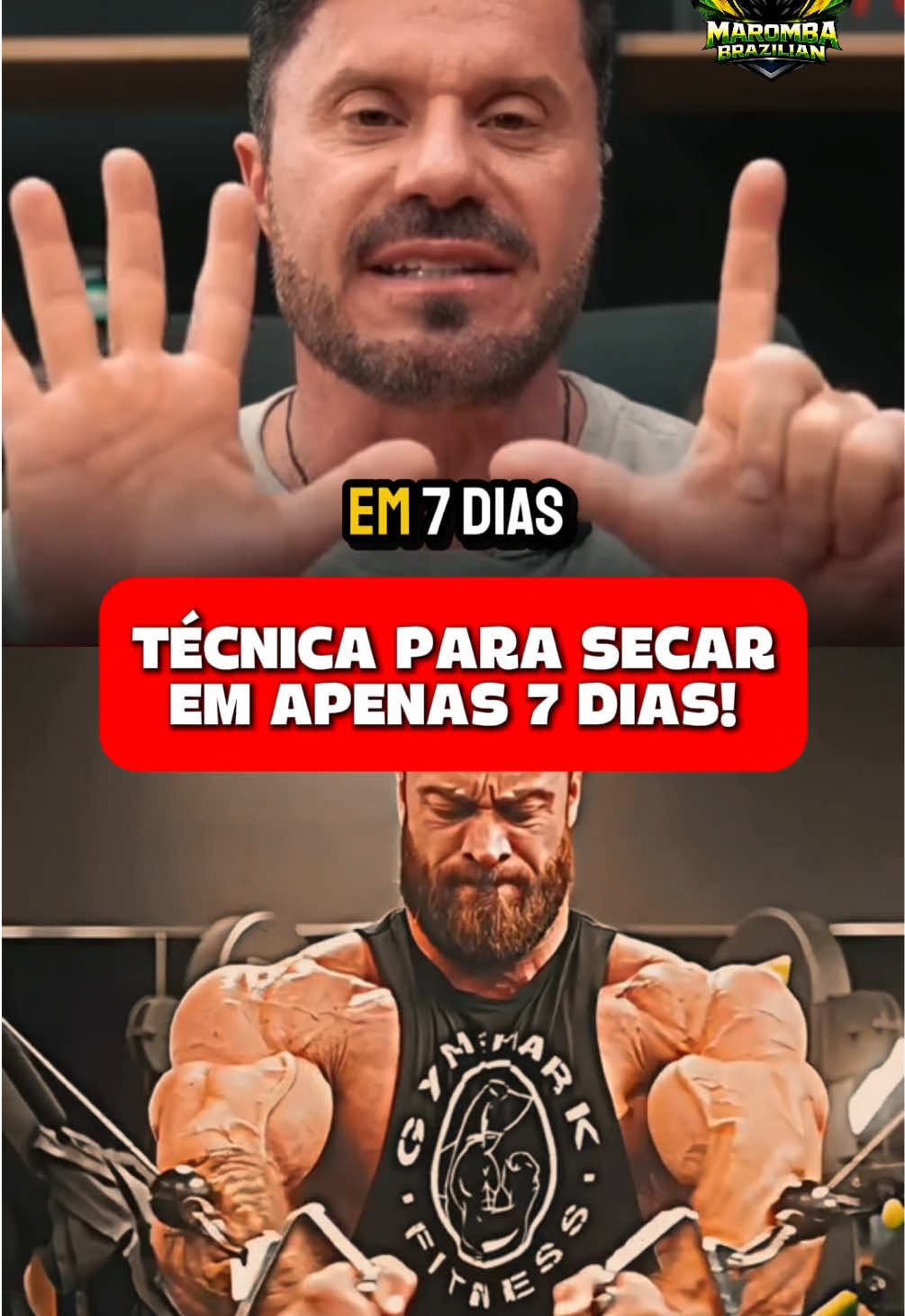 Geral - Video 1600