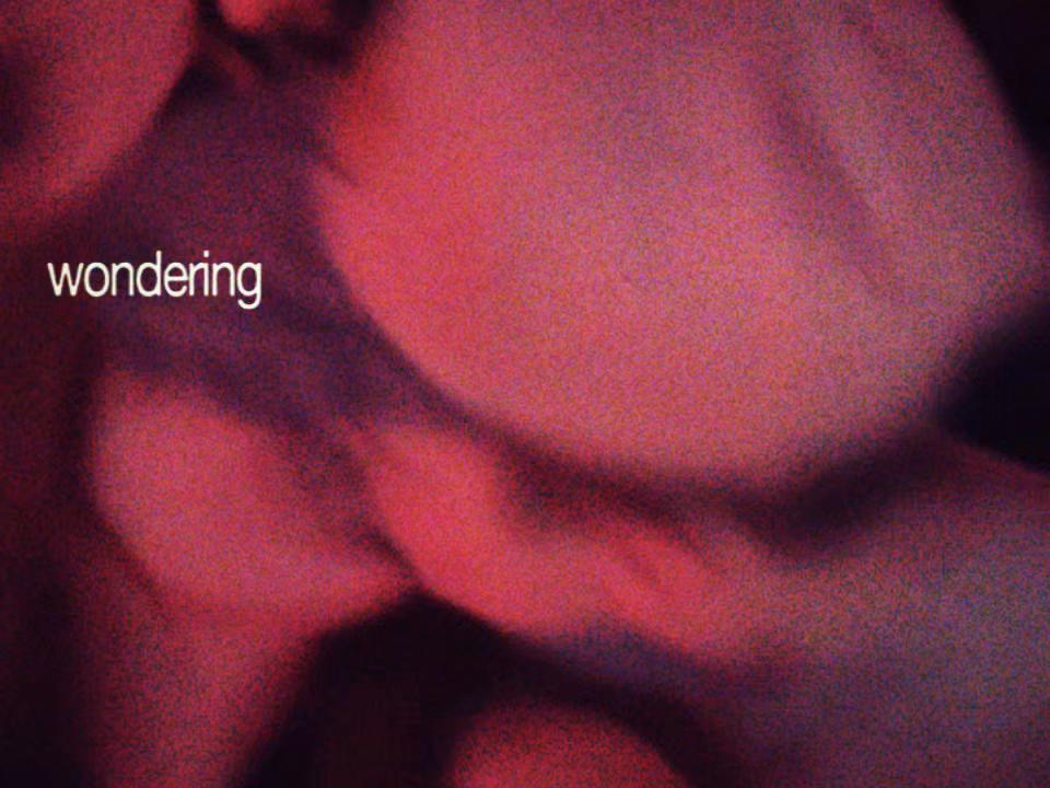 lexi.h23 - Video 44