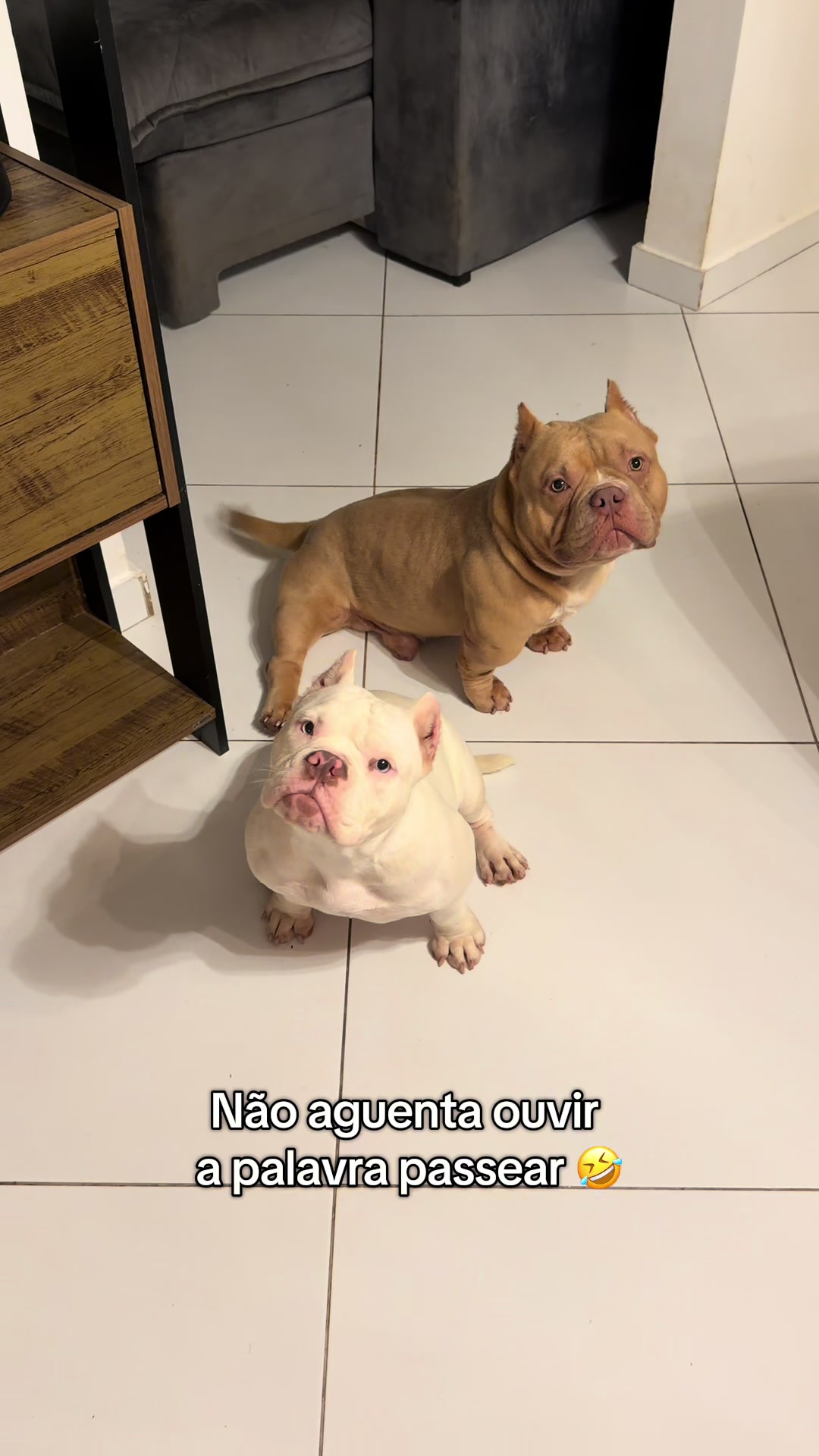 Fitness e Saúde - Video 86