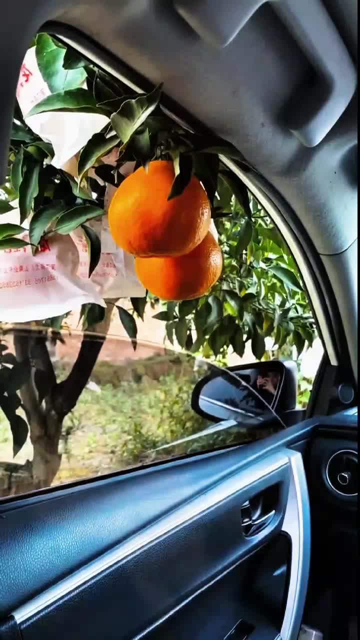 fruitshouse.28 - Video 114