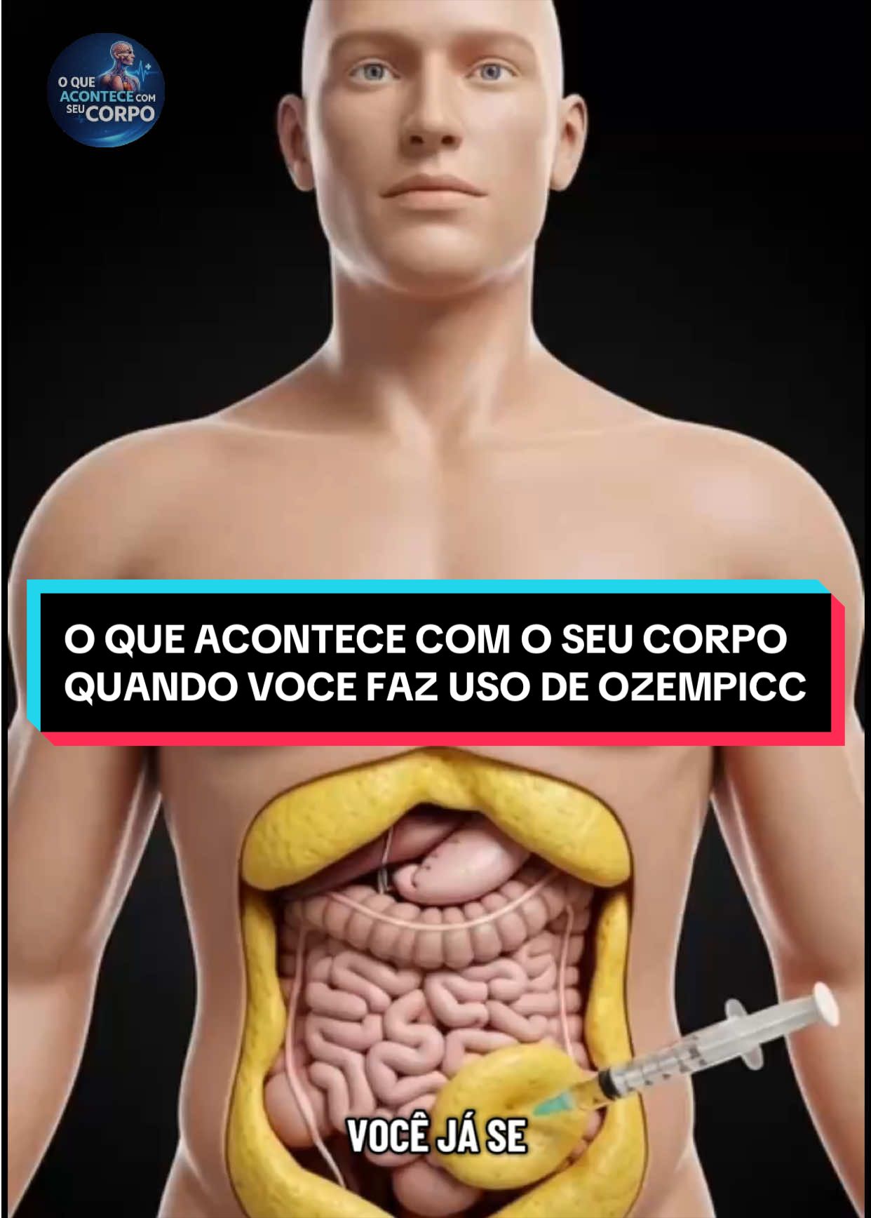 seucorpoemsegundos - Video 06