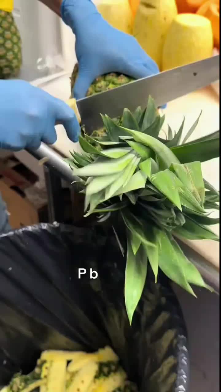 fruitshouse.28 - Video 70