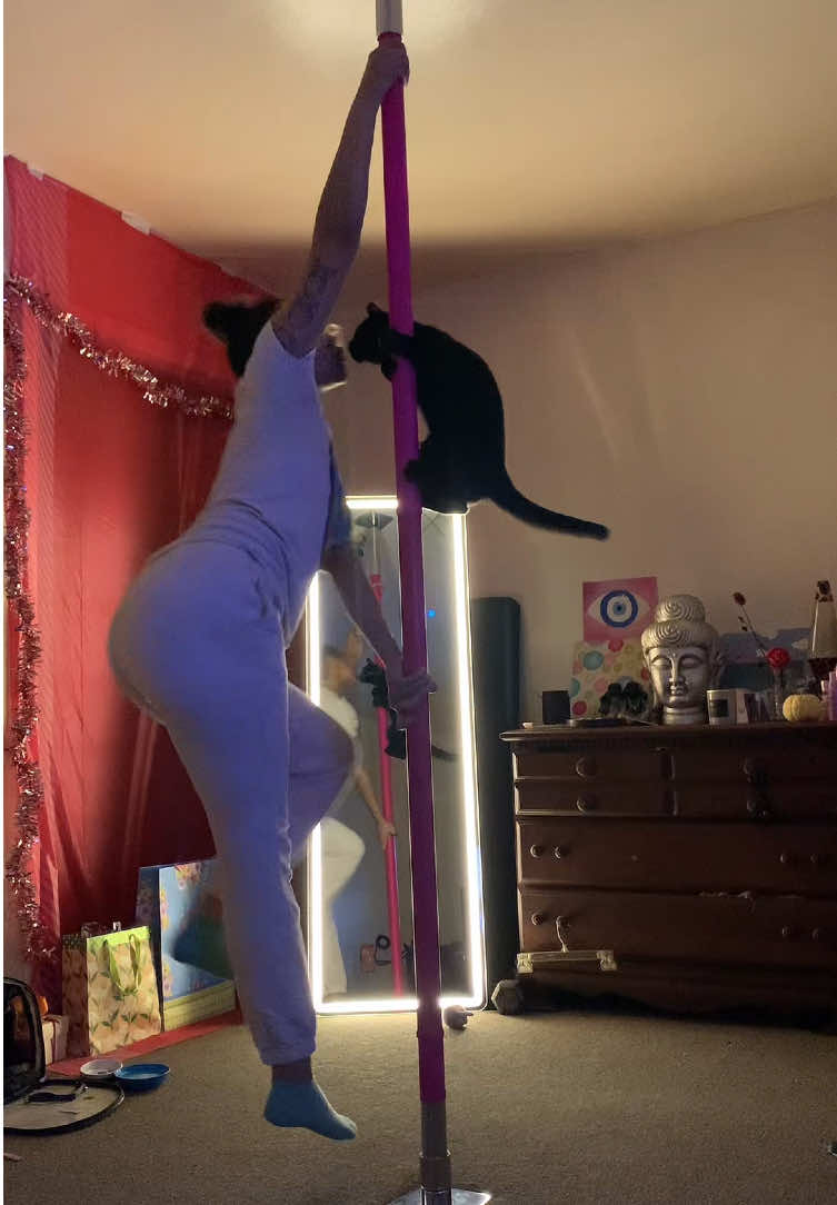 alycatt1111 - Video 14