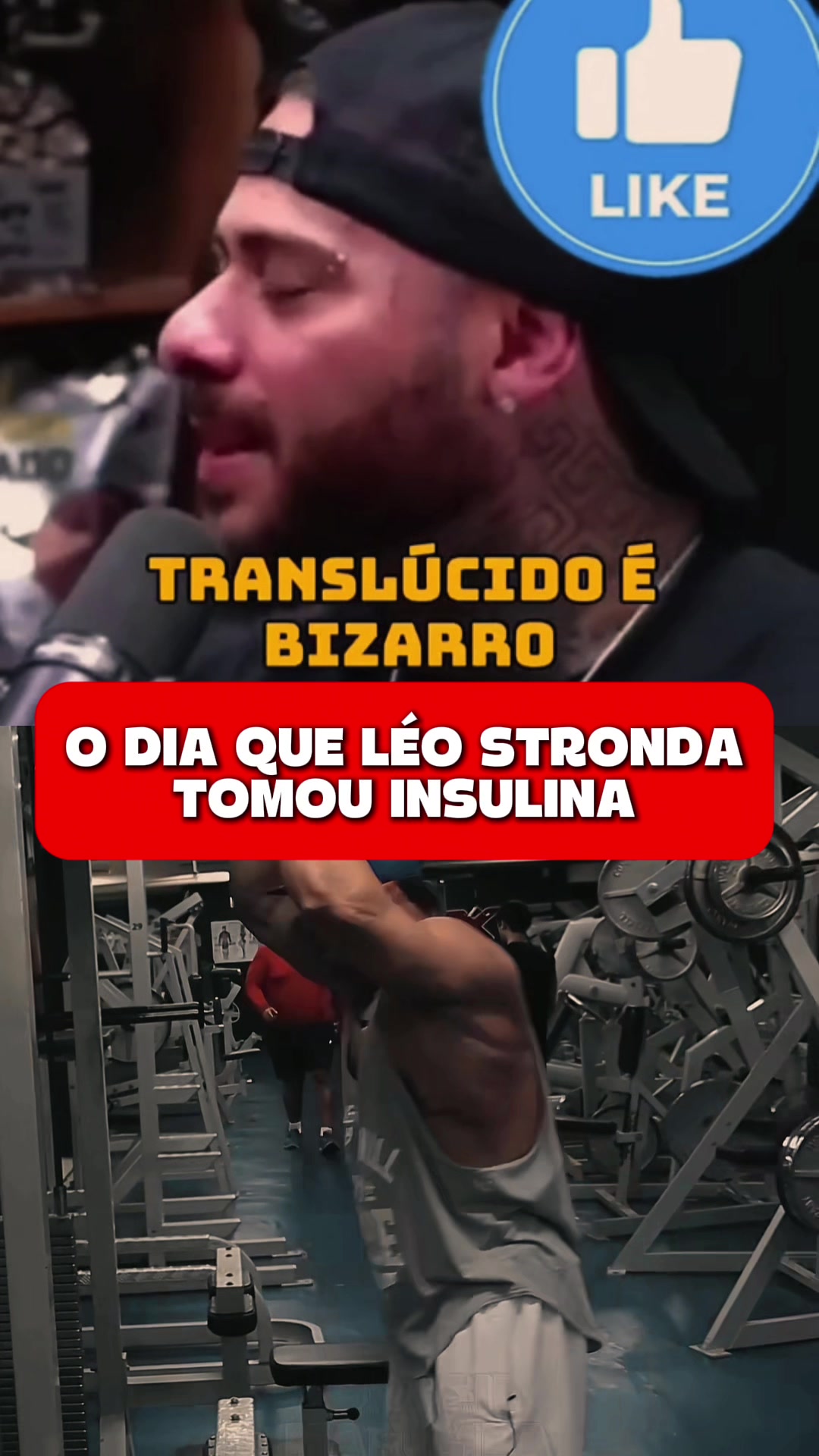 Geral - Video 1685