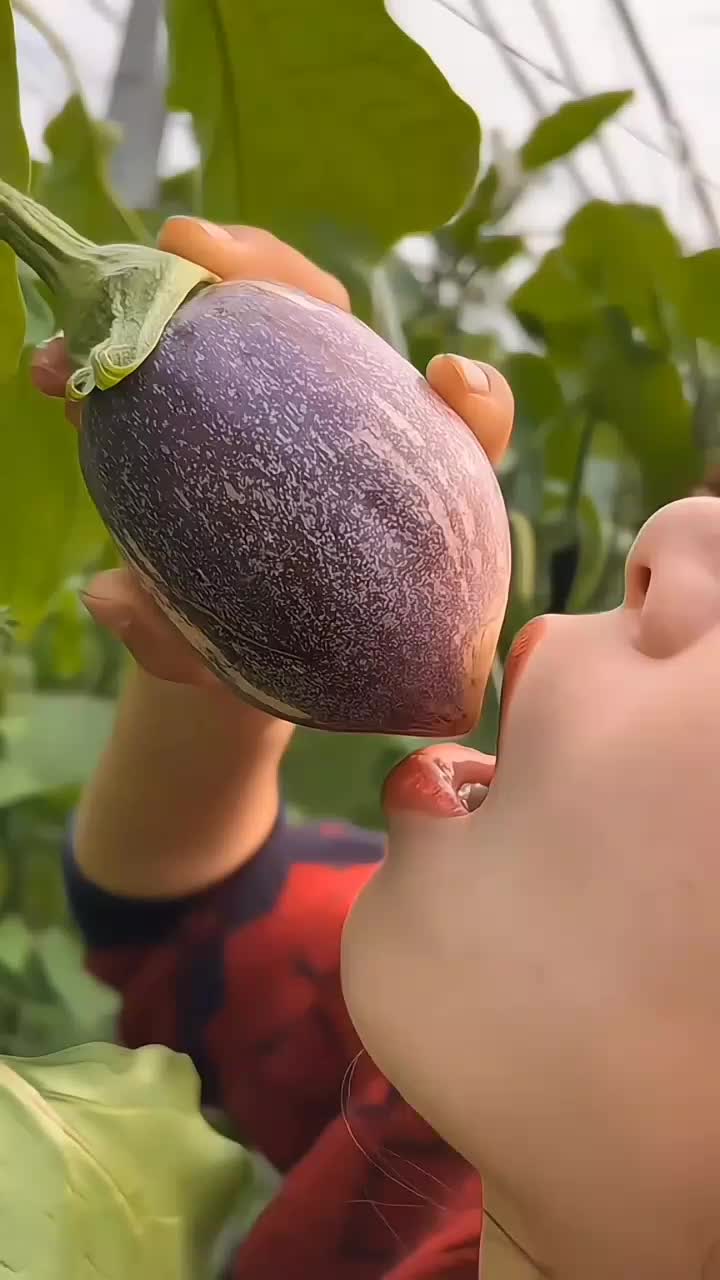 fruitshouse.28 - Video 50