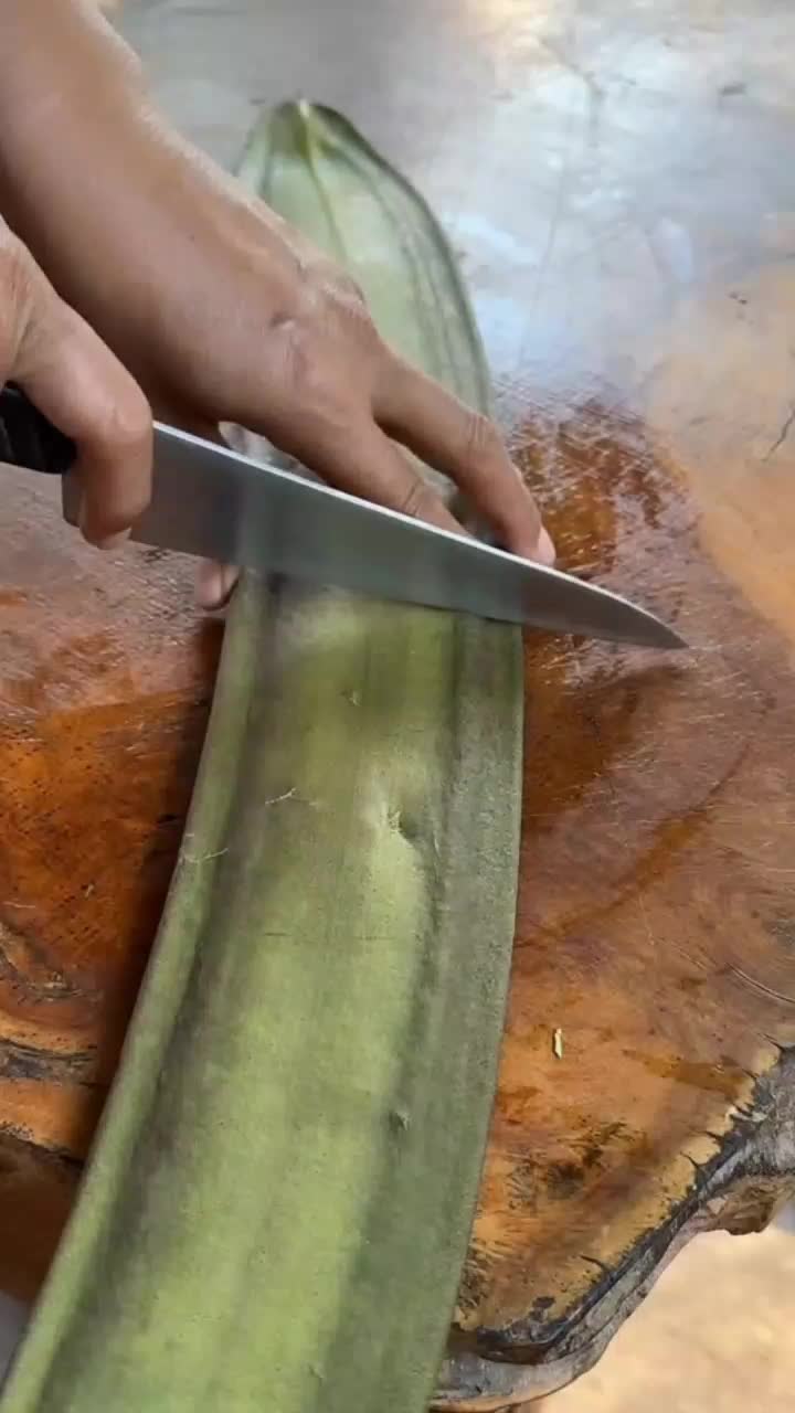 fruitshouse.28 - Video 123