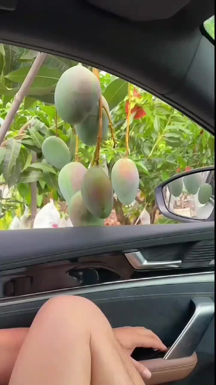 fruitshouse.28 - Video 97