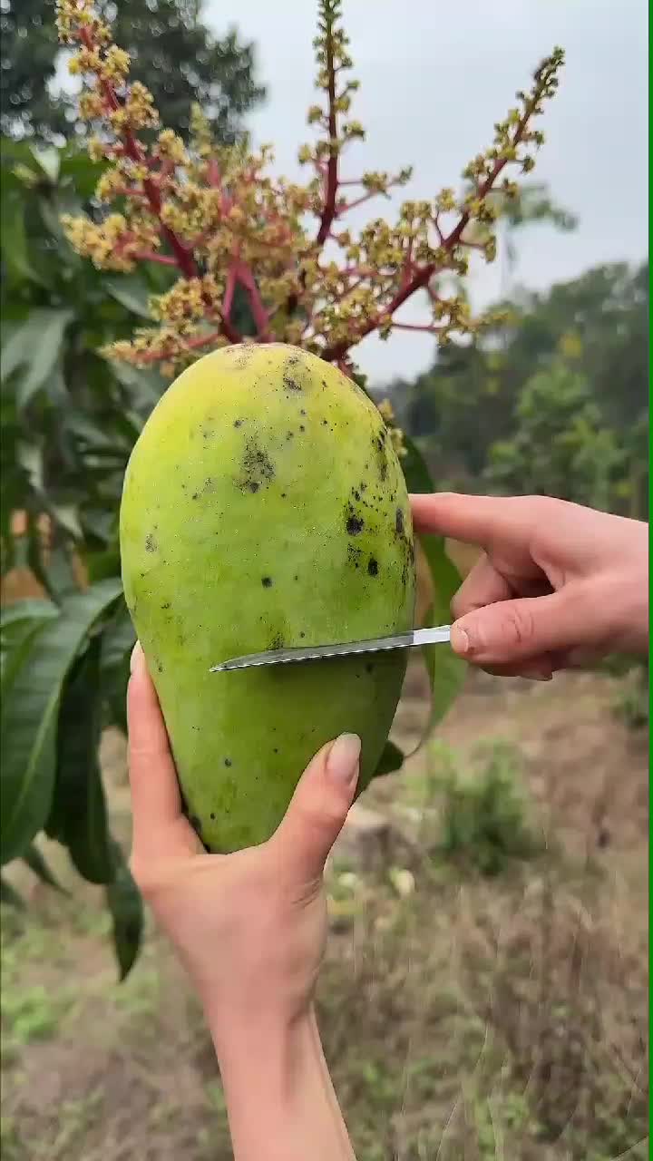 fruitshouse.28 - Video 54