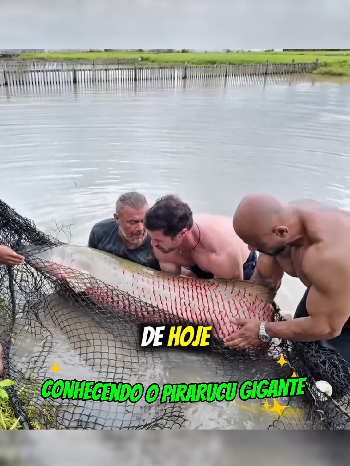 marombalizados - Video 51