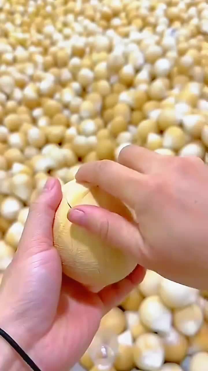 fruitshouse.28 - Video 83