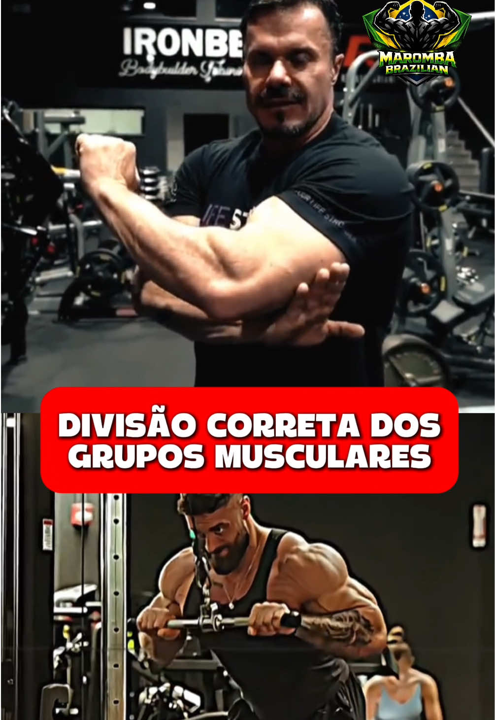 Geral - Video 1461