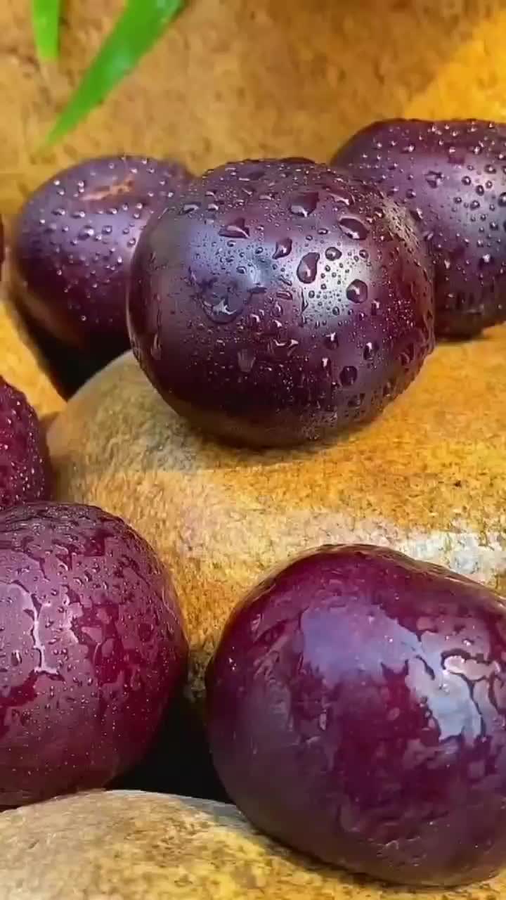 fruitshouse.28 - Video 117