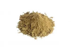 tribulus terrestris